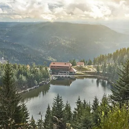 Himmelsblick * Bad Peterstal-Griesbach